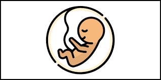 염화콜린 식품 등급